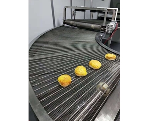 长沙食品网带转弯机