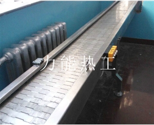 长沙链板输送机