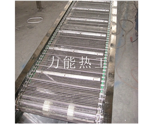 长沙链网输送机