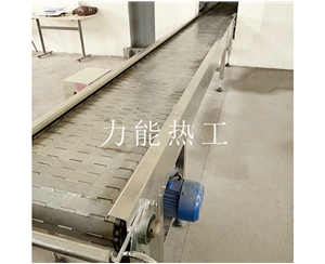 长沙链板输送机